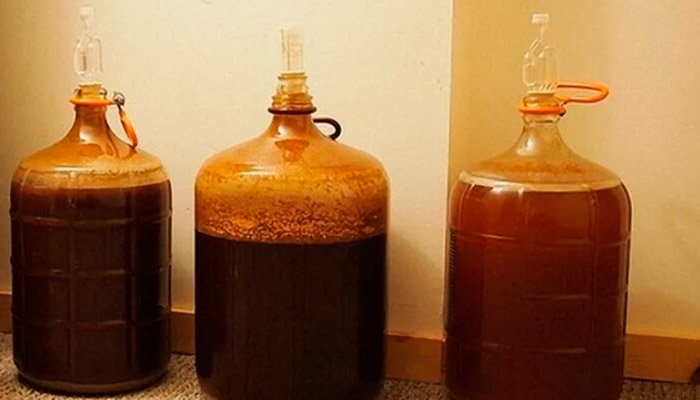 Брожение